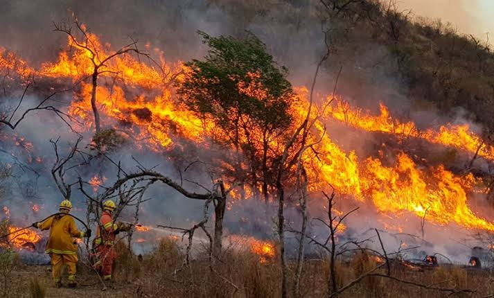Un incendio de gran magnitud afecta esta tarde al paraje La Manga, próximo a Charbonier